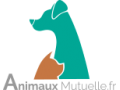Détails : COMPARATEUR DE MUTUELLES POUR ANIMAUX EN LIGNE
